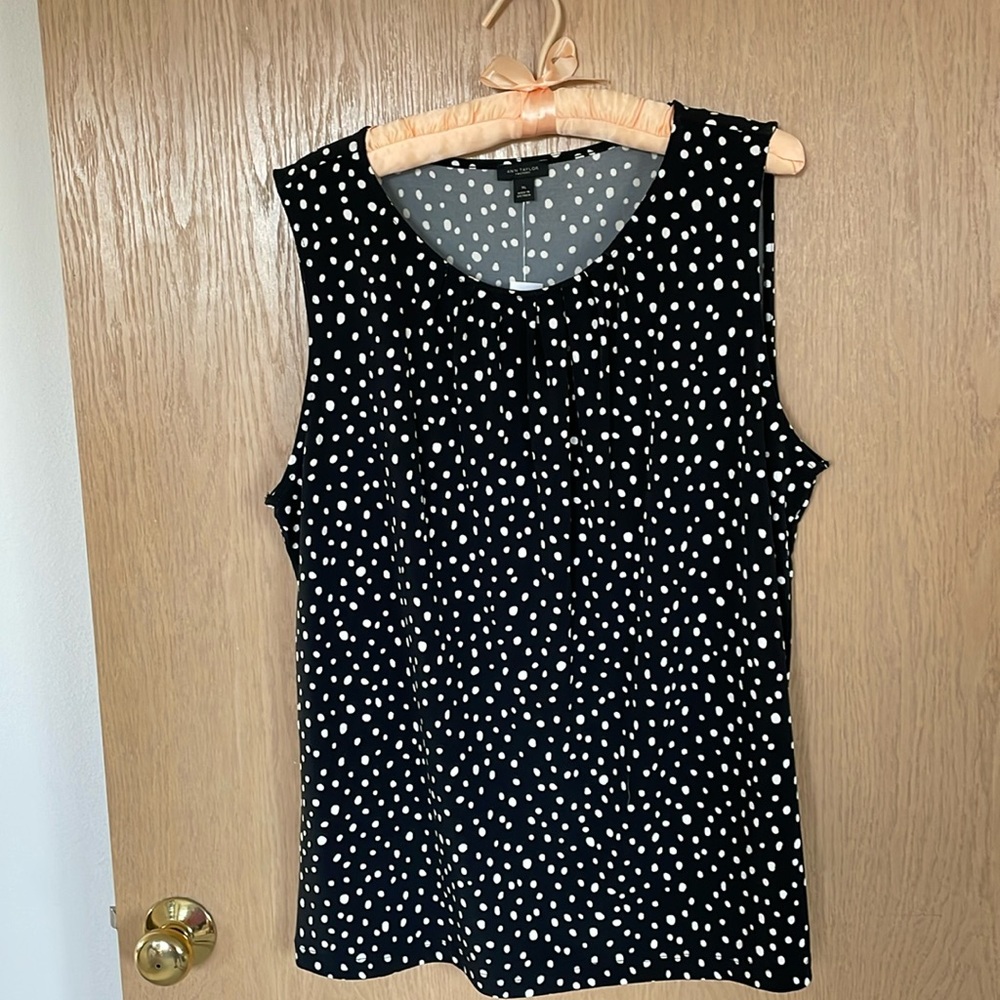 Ann Taylor top